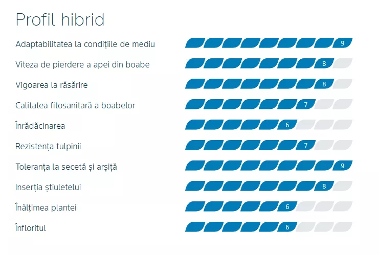profil dkc3972